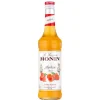 Barstuff Aprikose - Monin Sirup (0,7l)