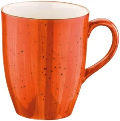 Barstuff Bonna Aura Terracotta Conic Bockbecher 33cl orange - 24 Stück