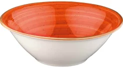 Barstuff Bonna Aura Terracotta Gourmet Schale 16cm, 40cl orange - 12 Stück