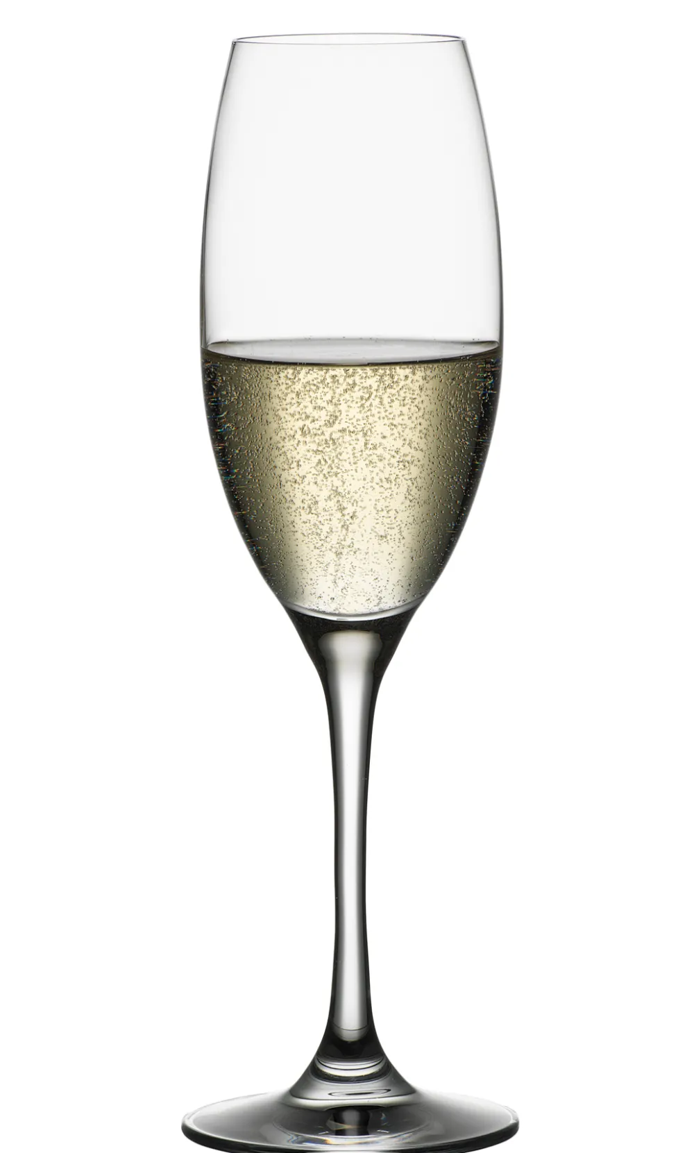 Barstuff Champagnerkelch Vino Grande, Spiegelau - 258ml