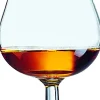 Barstuff Cognacschwenker Degustation, Arcoroc - 250ml