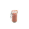 Barstuff Drahtbügelglas / Vorratsglas - 70ml (24 Stk.)