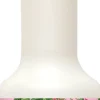 Barstuff Himbeere - Giffard Fruit for Mix (1,0l)