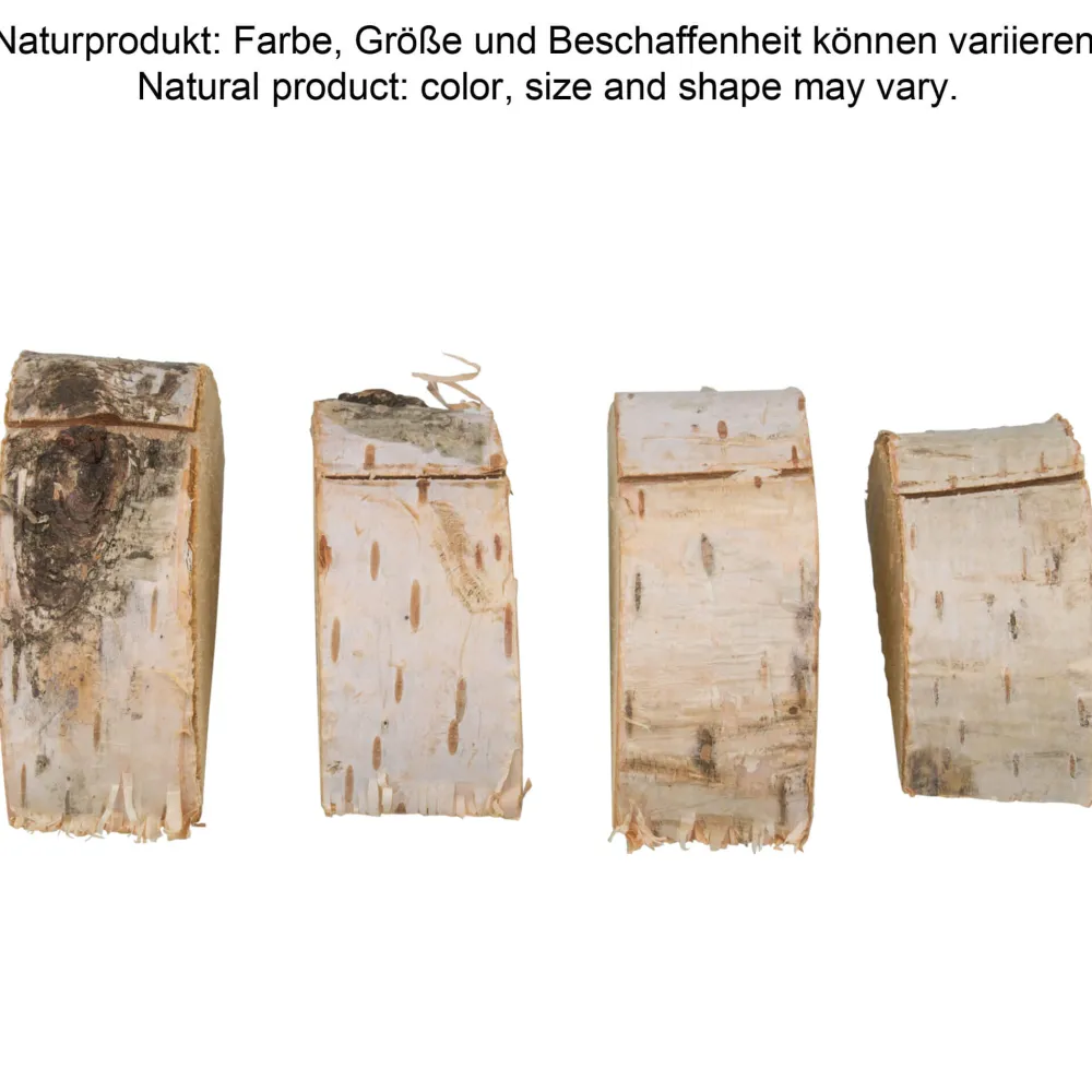 Barstuff Kartenhalter Birke, Baumscheibe Birke - ca. 6,5cm