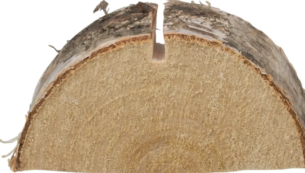Barstuff Kartenhalter Birke, Baumscheibe Birke - ca. 6,5cm