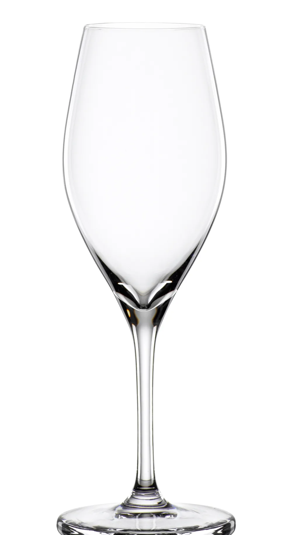 Barstuff Sektglas Oslo, Spiegelau - 240ml (1 Stk.)