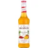 Barstuff Spicy Mango - Monin Sirup (0,7l)