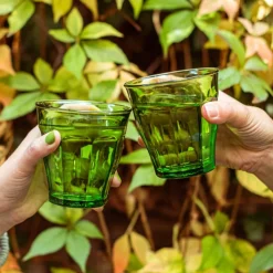 Barstuff Tumbler Picardie Grün, Duralex - 250ml