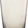 Barstuff Wasserglas Sonido taupe, Zwiesel Glas - 548ml